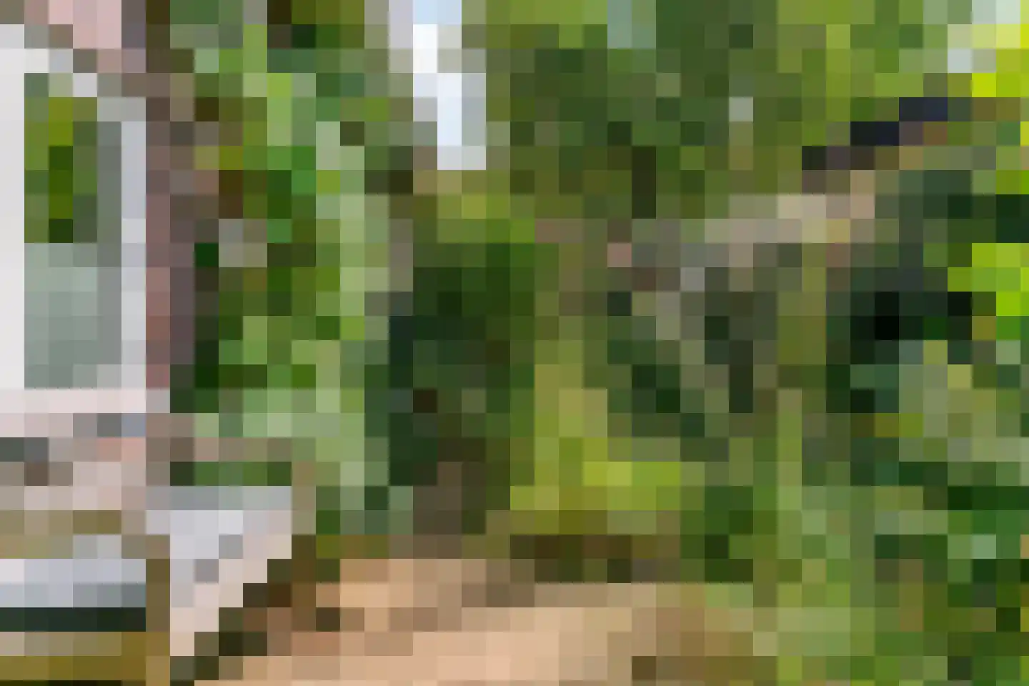Doornenkampseweg 4 Heelsum thumbnail 29