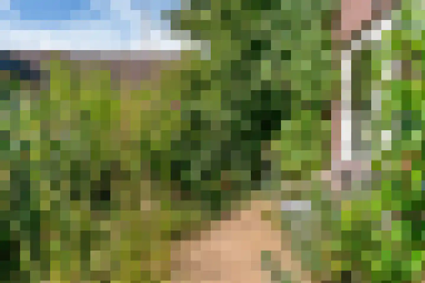 Doornenkampseweg 4 Heelsum thumbnail 30