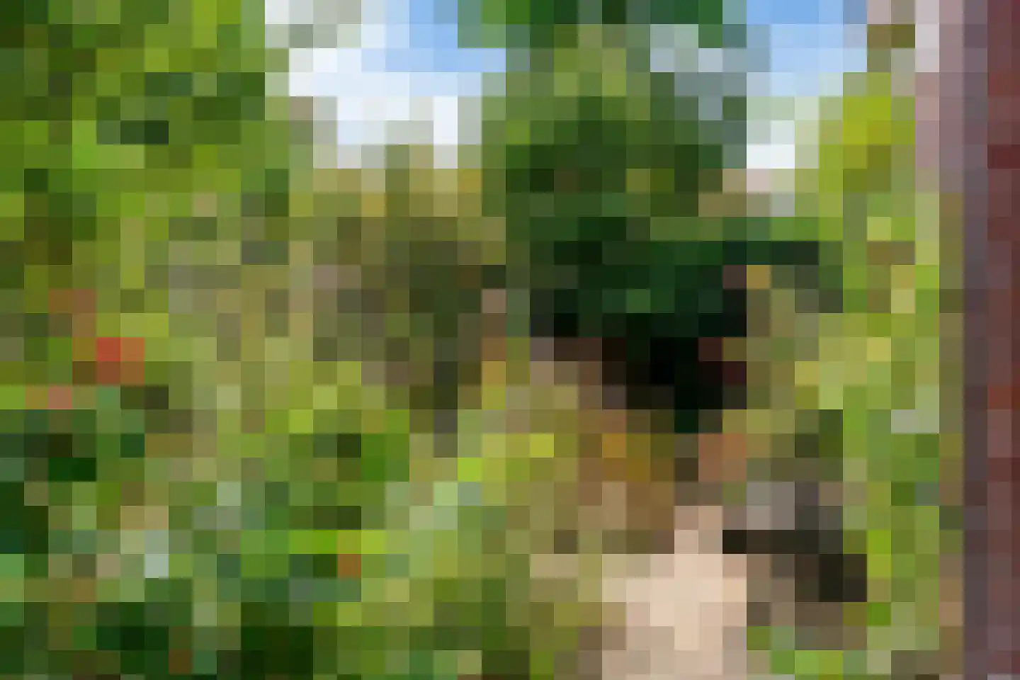 Doornenkampseweg 4 Heelsum thumbnail 31