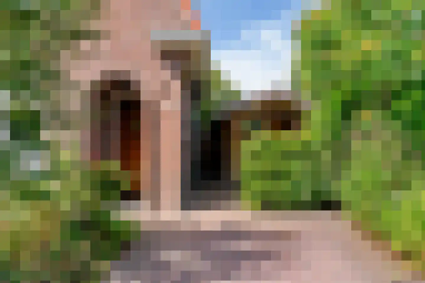 Doornenkampseweg 4 Heelsum thumbnail 32
