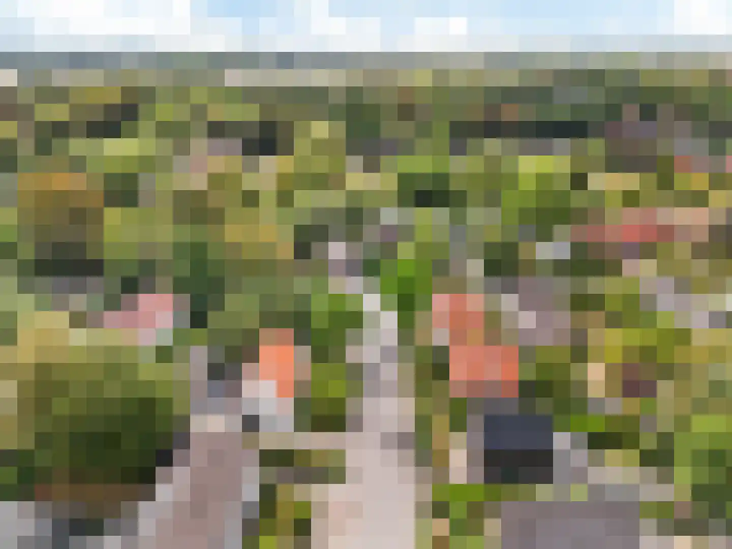 Doornenkampseweg 4 Heelsum thumbnail 34