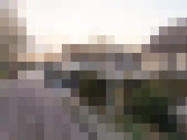 Doornenkampseweg 58 Heelsum thumbnail 4