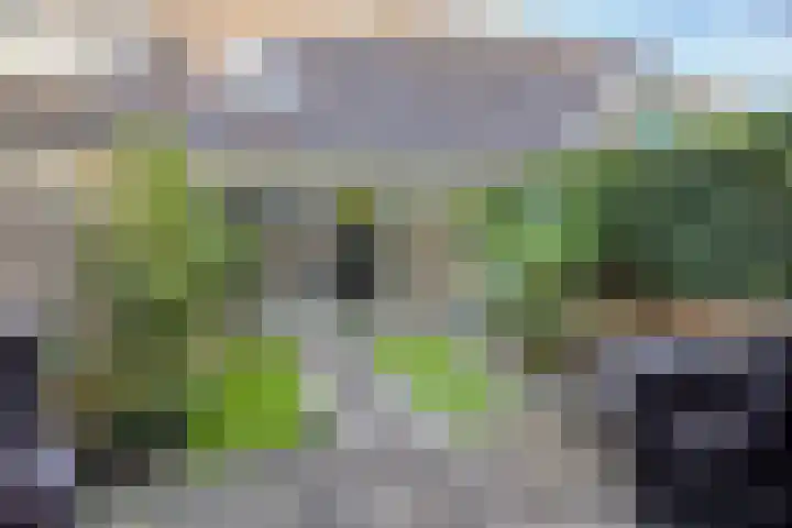 Doornheegde 37 Meppel thumbnail 4