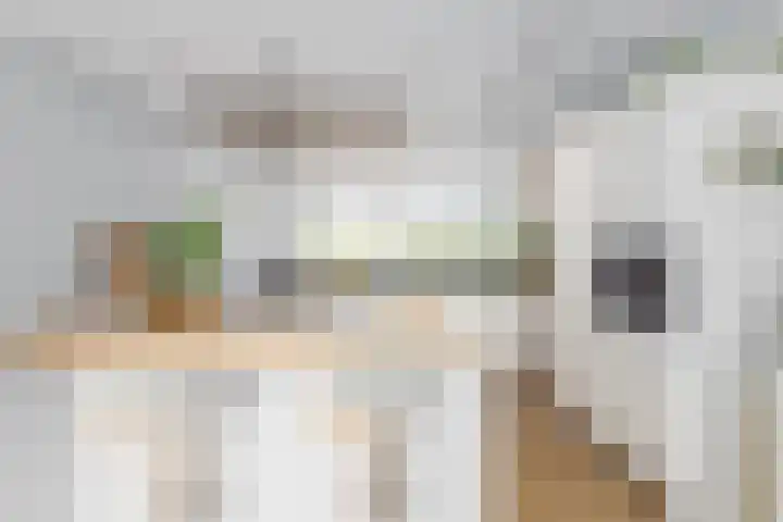 Doornhoecklaan 27 Maarssen thumbnail 14