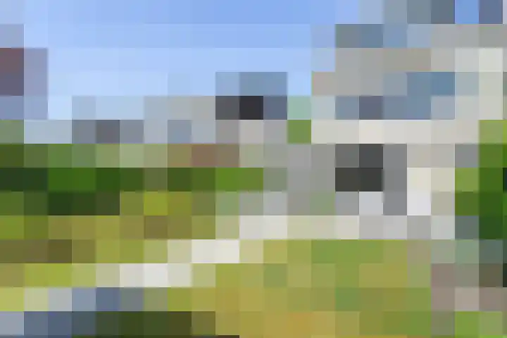 Doornhoecklaan 27 Maarssen thumbnail 17