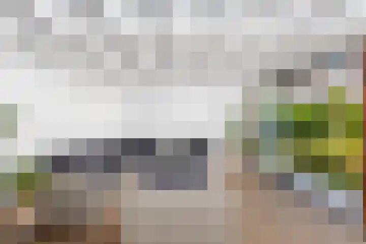 Doornhoecklaan 27 Maarssen thumbnail 19