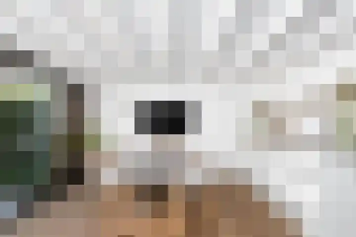 Doornhoecklaan 27 Maarssen thumbnail 20