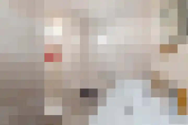 Doornhoecklaan 27 Maarssen thumbnail 29