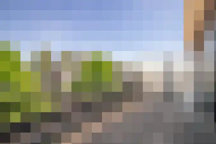 Doornhoecklaan 27 Maarssen thumbnail 44