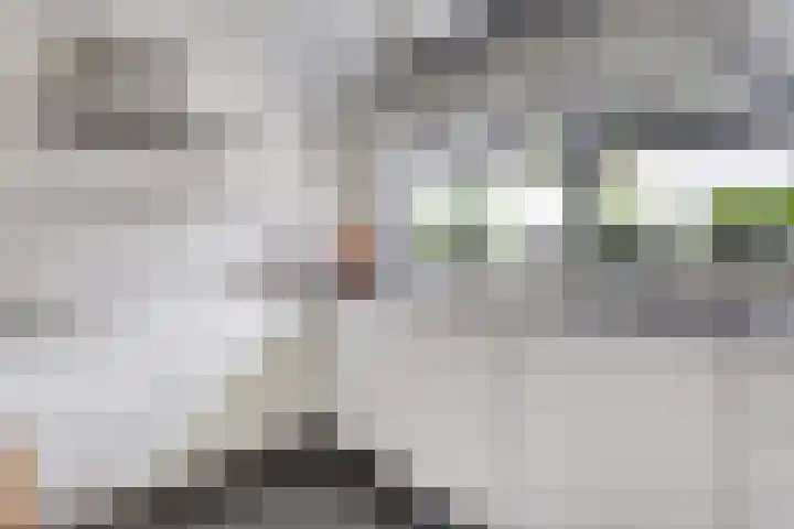 Doornhoecklaan 35 Maarssen thumbnail 13