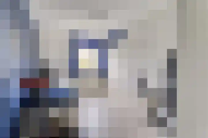 Doornhoecklaan 35 Maarssen thumbnail 18