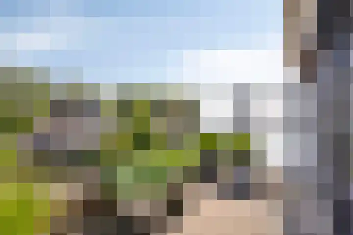 Doornhoecklaan 35 Maarssen thumbnail 26