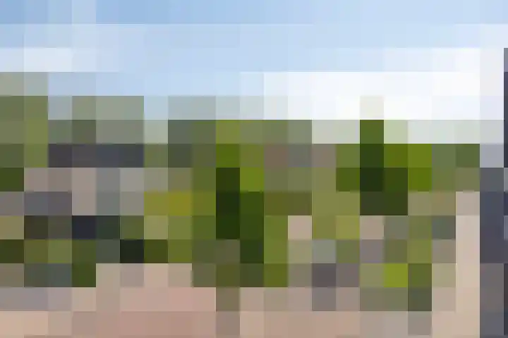 Doornhoecklaan 35 Maarssen thumbnail 27