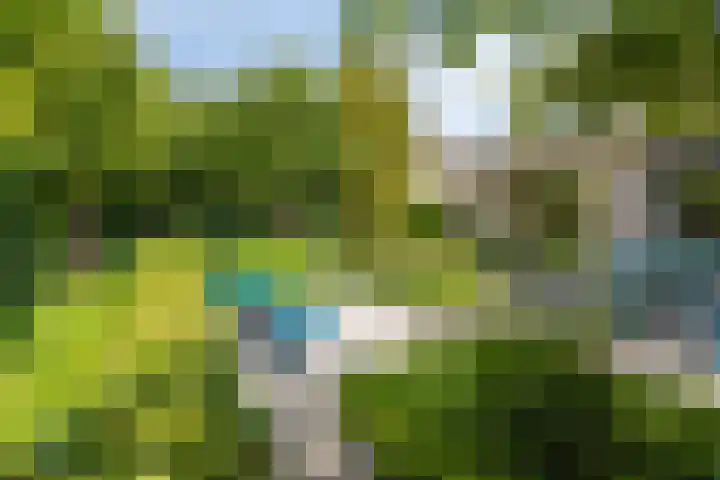 Doornhoecklaan 35 Maarssen thumbnail 31