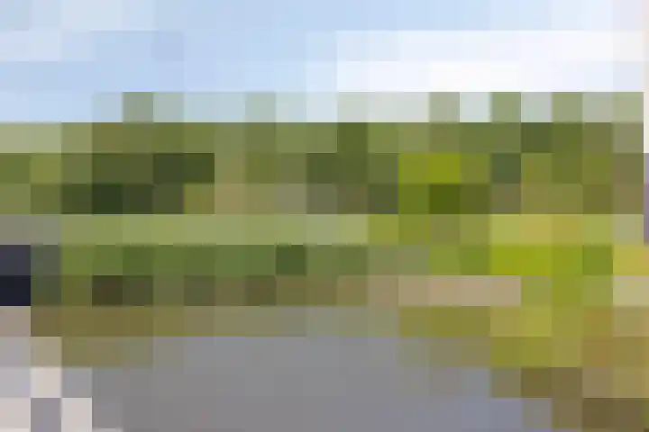 Doornhoecklaan 35 Maarssen thumbnail 35
