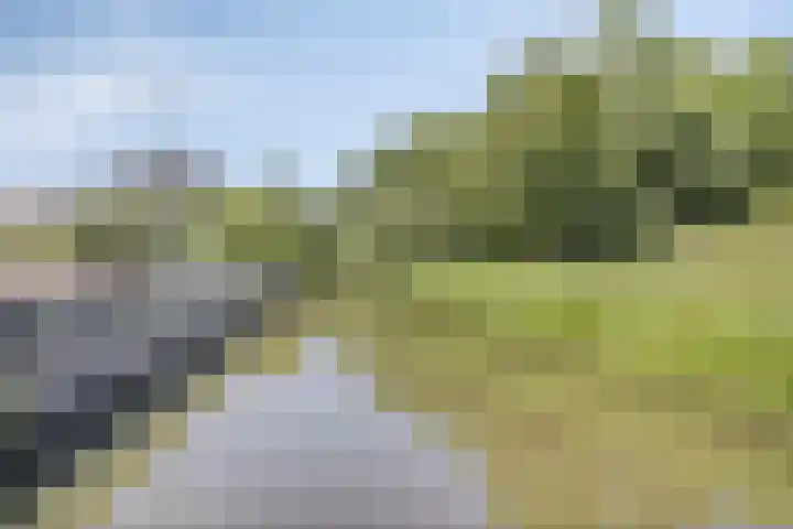 Doornhoecklaan 35 Maarssen thumbnail 36