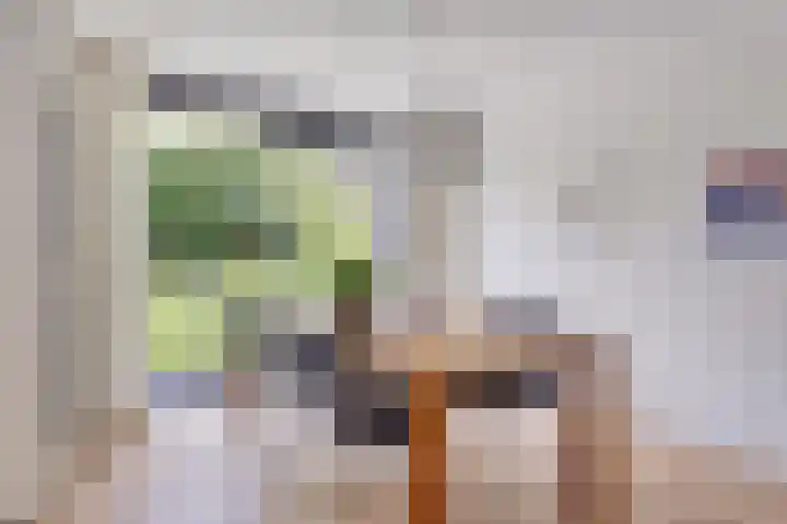Doornhoecklaan 35 Maarssen thumbnail 8