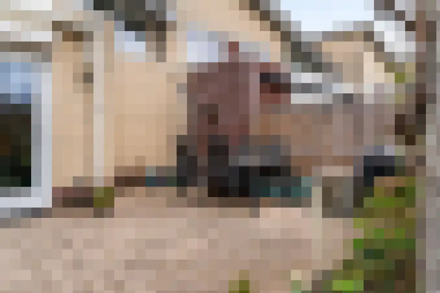 Doornhoecklaan 6 Maarssen thumbnail 32
