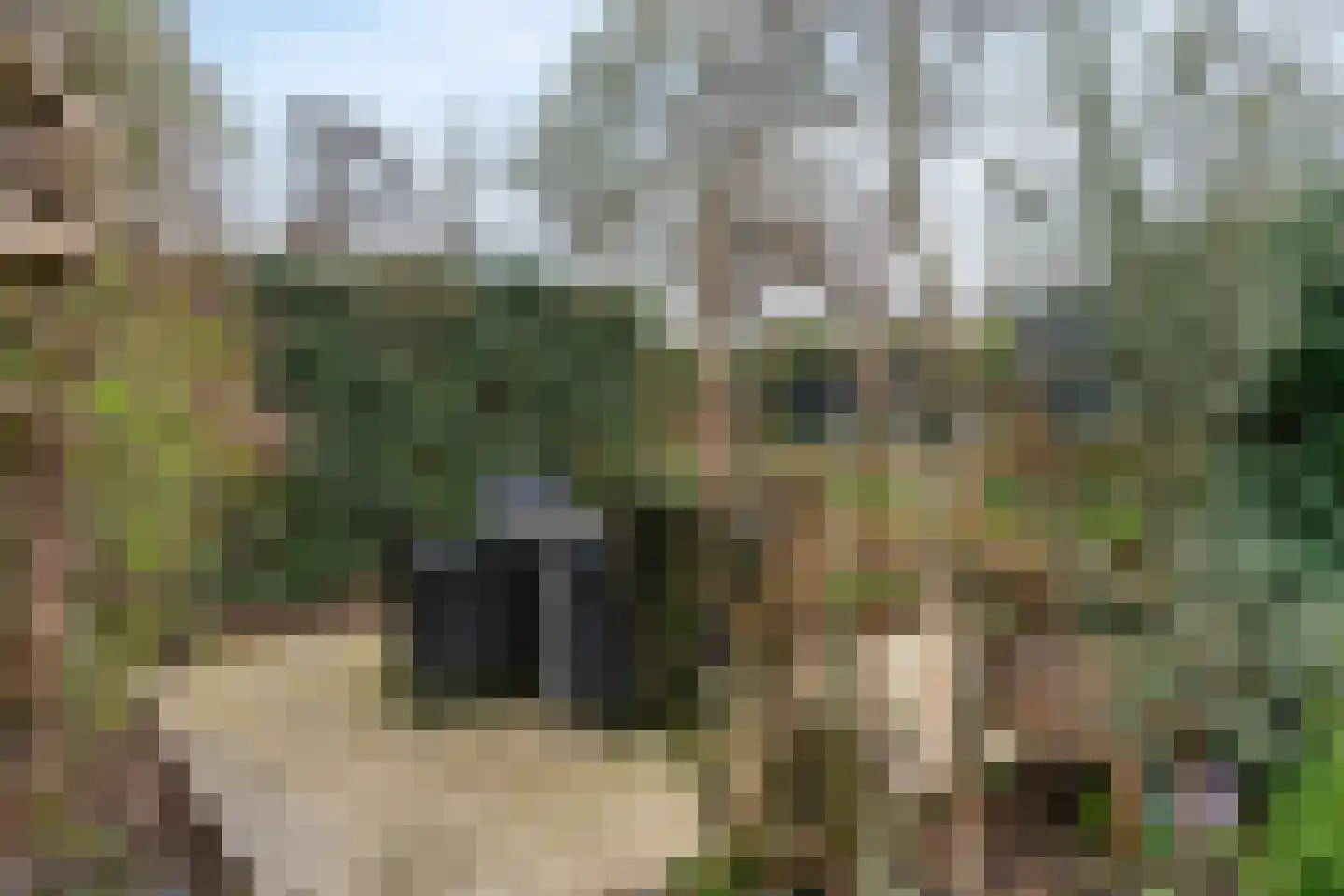 Doornhoecklaan 6 Maarssen thumbnail 36
