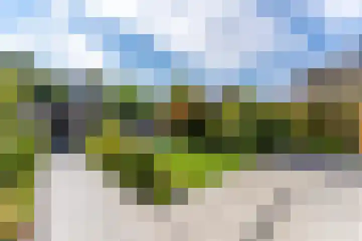 Doornhoecklaan 65 Maarssen thumbnail 17