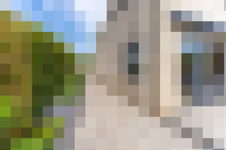 Doornhoecklaan 65 Maarssen thumbnail 18