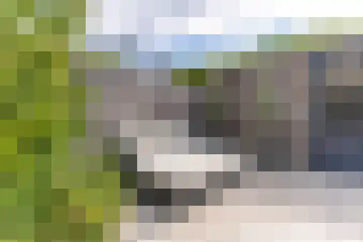 Doornhoecklaan 65 Maarssen thumbnail 21
