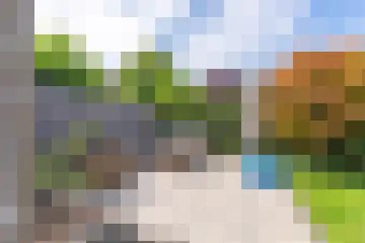Doornhoecklaan 65 Maarssen thumbnail 22