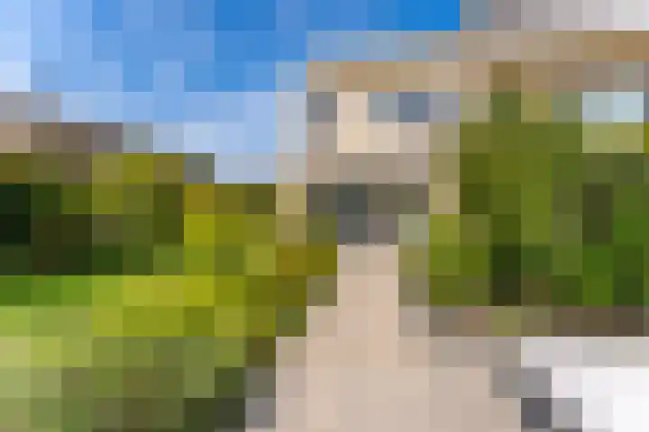 Doornhoecklaan 65 Maarssen thumbnail 25