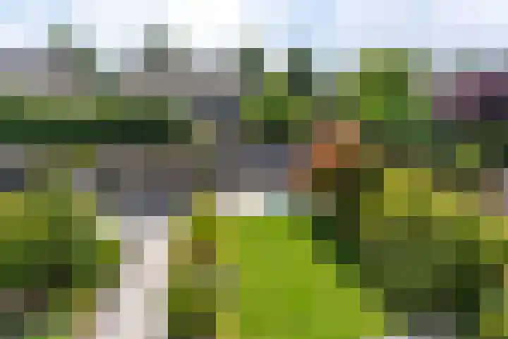 Doornhoecklaan 65 Maarssen thumbnail 42