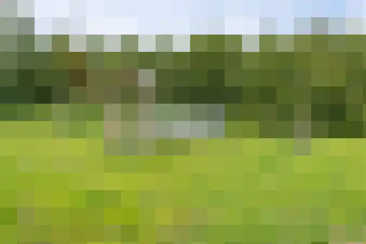 Doornhoecklaan 65 Maarssen thumbnail 45