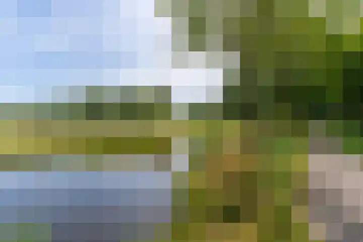 Doornhoecklaan 65 Maarssen thumbnail 46