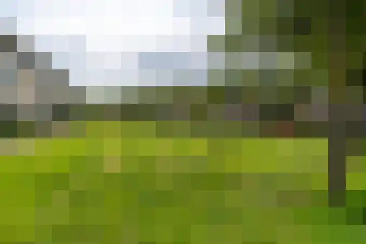 Doornhoecklaan 65 Maarssen thumbnail 47