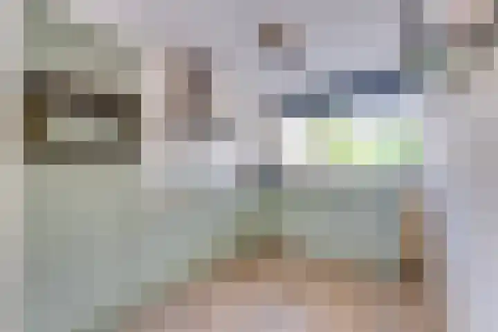 Doornhoecklaan 65 Maarssen thumbnail 8
