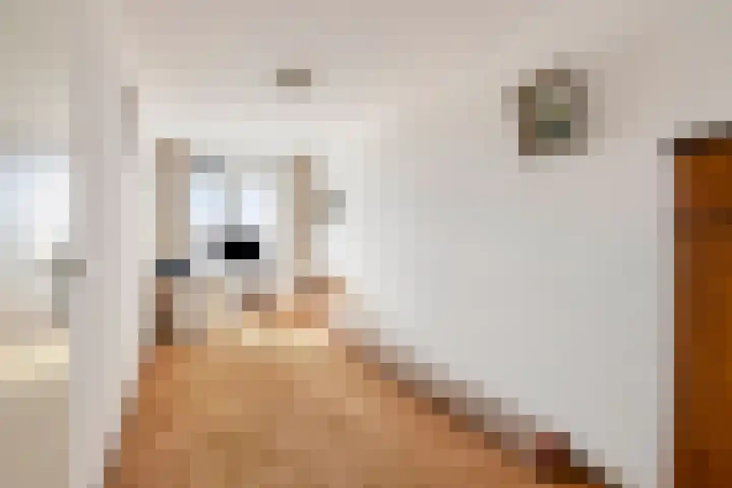 Doornhoecklaan 70 Maarssen thumbnail 17