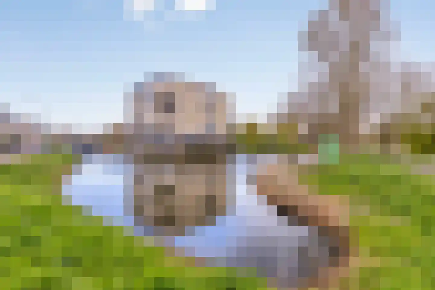 Doornhoecklaan 70 Maarssen thumbnail 25