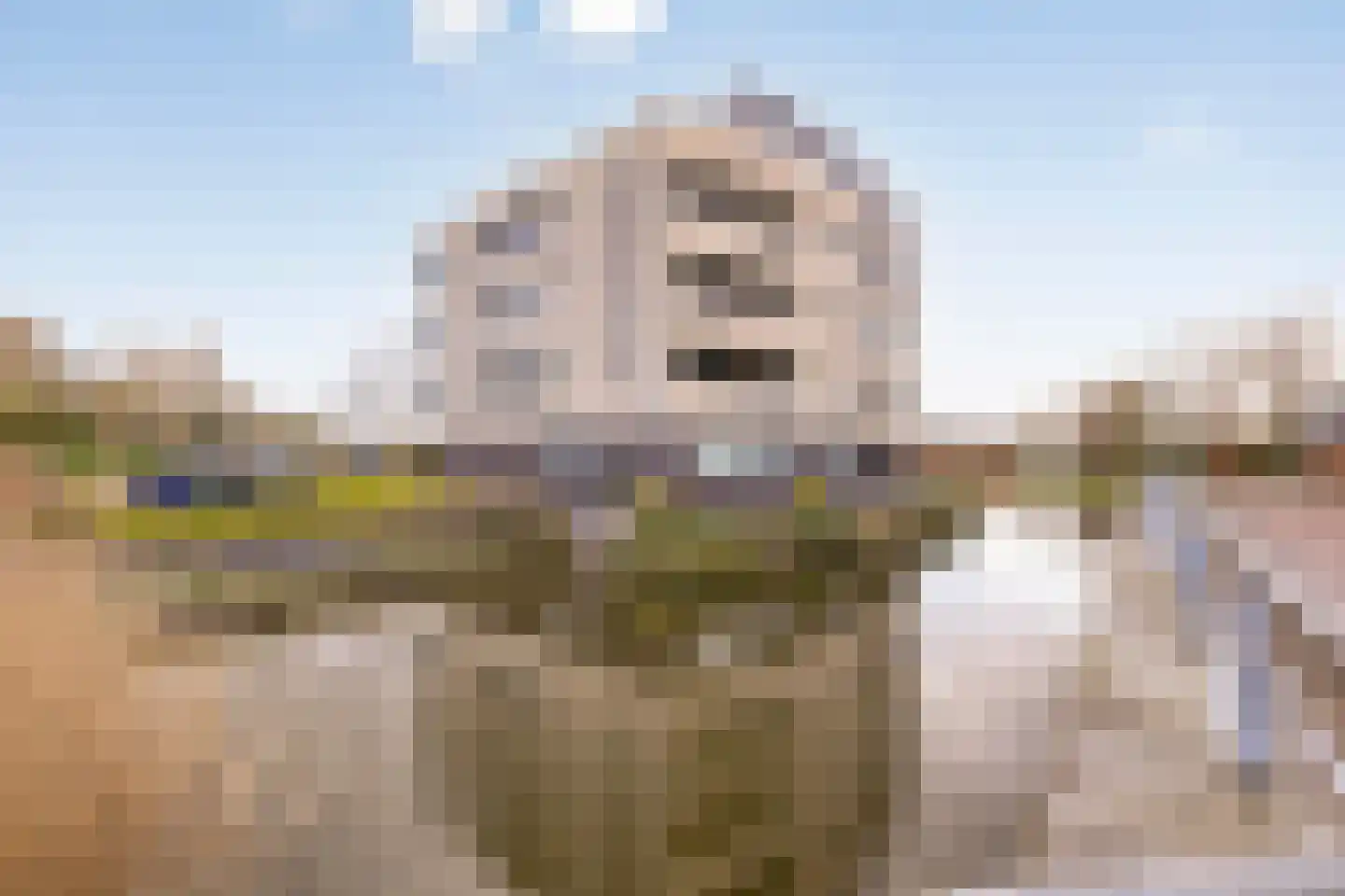 Doornhoecklaan 70 Maarssen thumbnail 26
