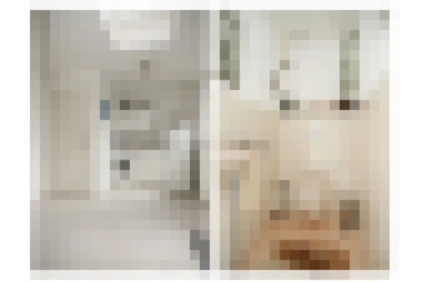 Doornik 3 Wamel thumbnail 21