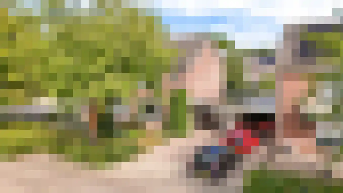 Doornik 3 Wamel thumbnail 49