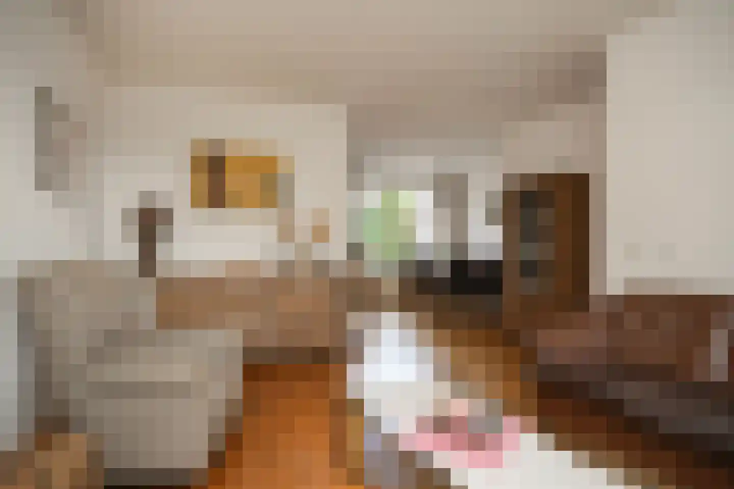 Doornik 3 Wamel thumbnail 5