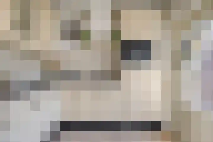 Doornik 34 Wamel thumbnail 11