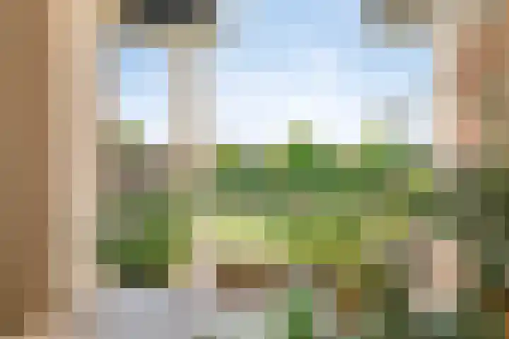 Doornik 34 Wamel thumbnail 13