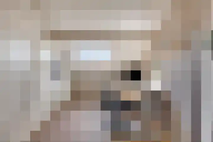 Doornik 34 Wamel thumbnail 25