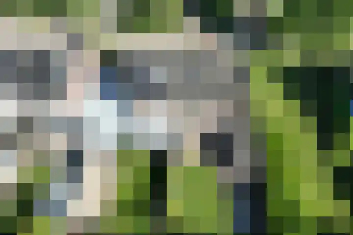 Doornik 34 Wamel thumbnail 31