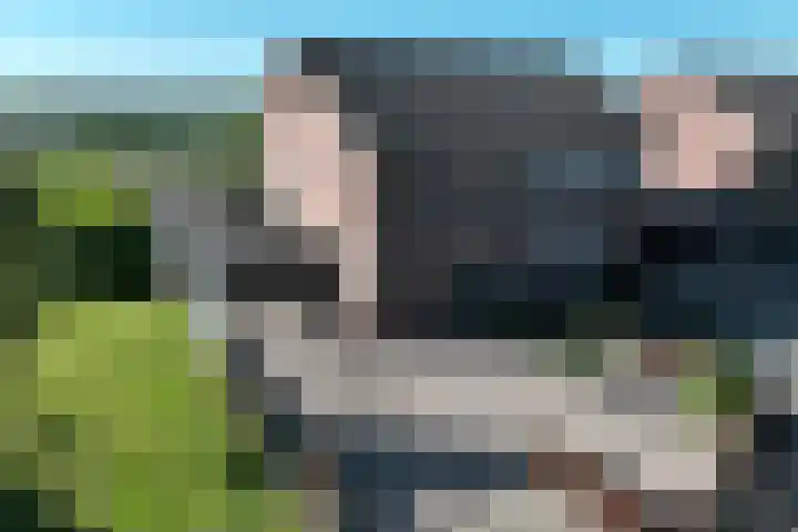 Doornik 34 Wamel thumbnail 34