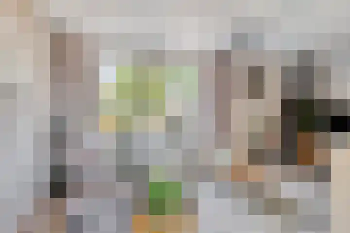 Doornik 34 Wamel thumbnail 5