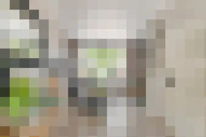 Doornik 34 Wamel thumbnail 8