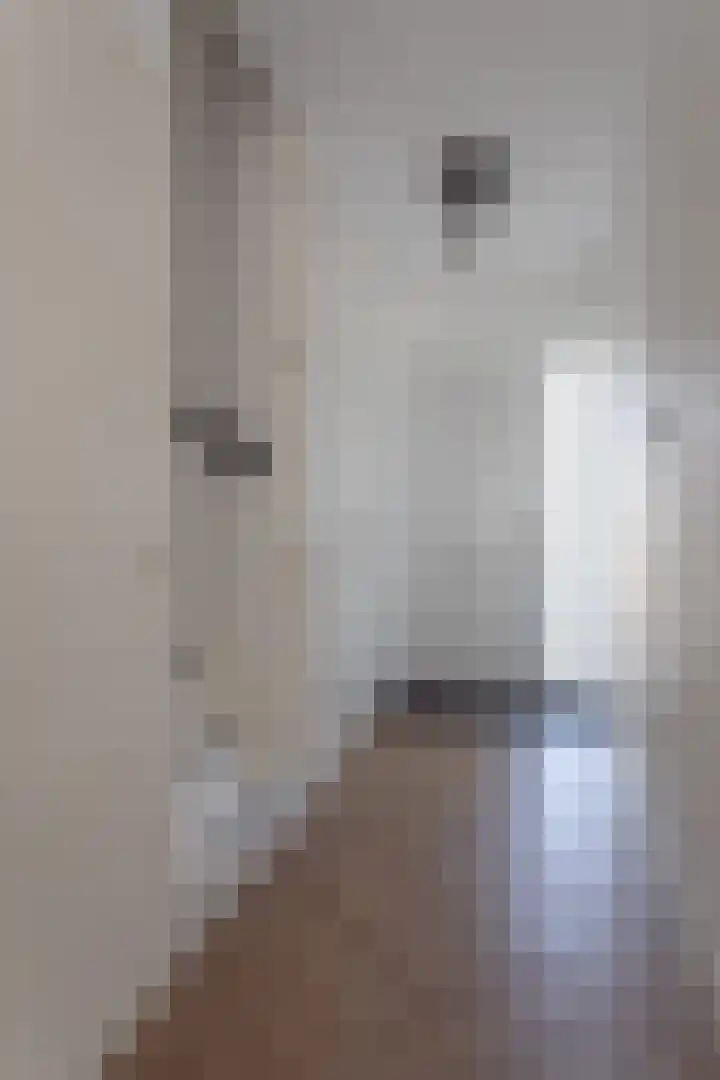 Doorniklaan 13 Eindhoven thumbnail 11