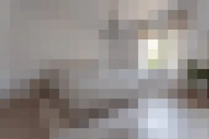 Doorniklaan 13 Eindhoven thumbnail 13