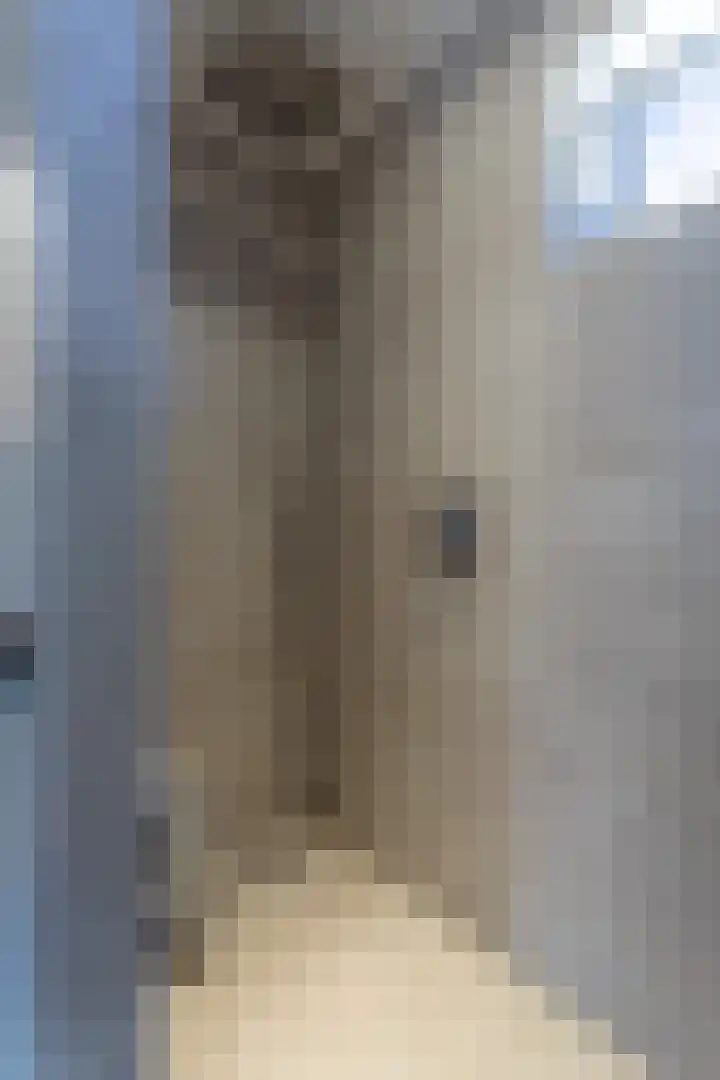 Doorniklaan 13 Eindhoven thumbnail 19