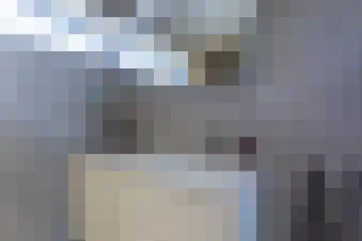Doorniklaan 13 Eindhoven thumbnail 20